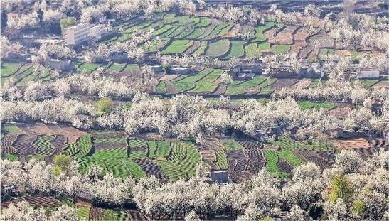 詩(shī)-春灼天府