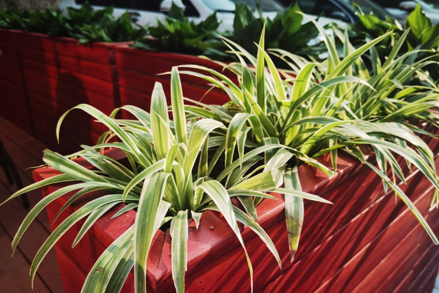 1633683509908271.png 1633683509908271.png