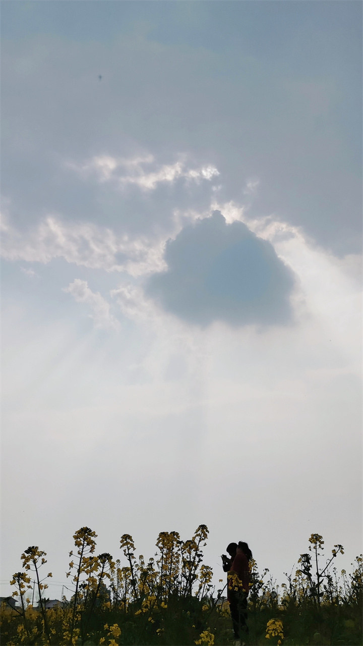 個人一等獎 張瑤  捕光者.jpg