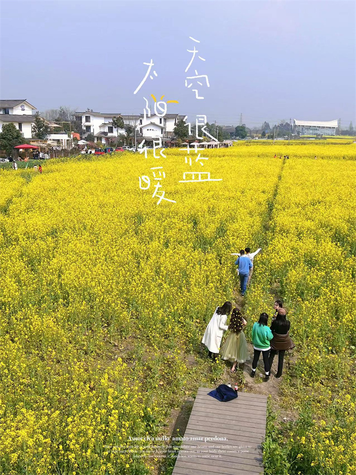 個人二等獎  王一嵐  太陽很暖.jpg