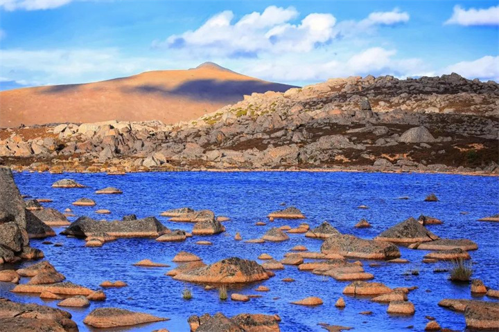 1654930755705623.jpg 640 (3).jpg