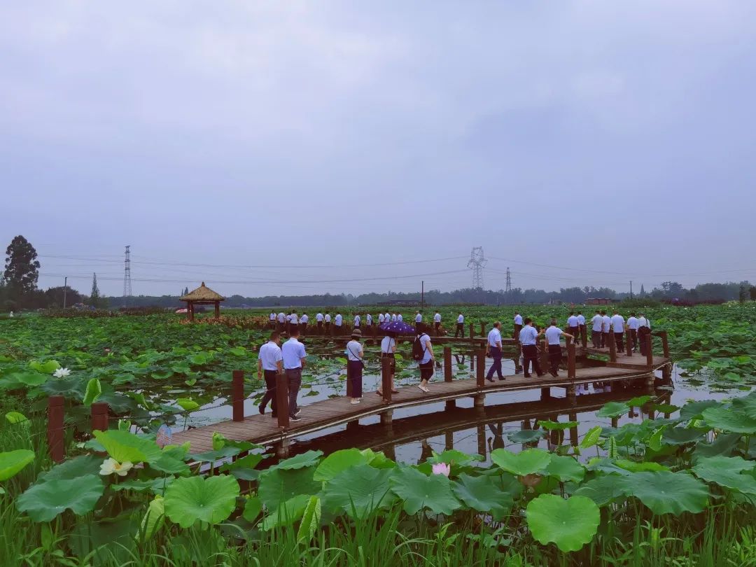 1656231484252672.jpg 640 (1).jpg