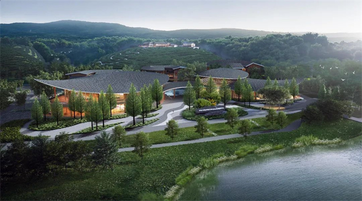 1662298762558816.jpg 15.jpg