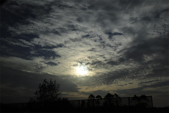 1662605459503781.png 6.png