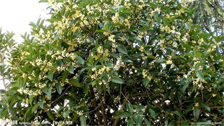 1663660981598301.png 圖片1.png