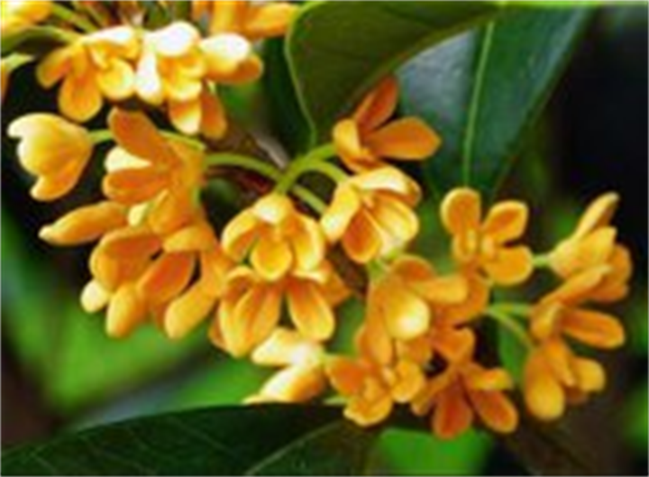 1663661008998140.png 圖片2.png