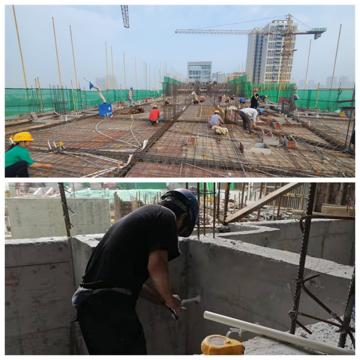 1663726663972810.png 9(中醫(yī)大項目).png