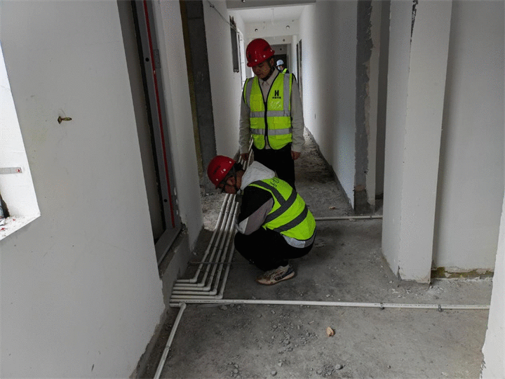 1664983209858445.gif 4.gif