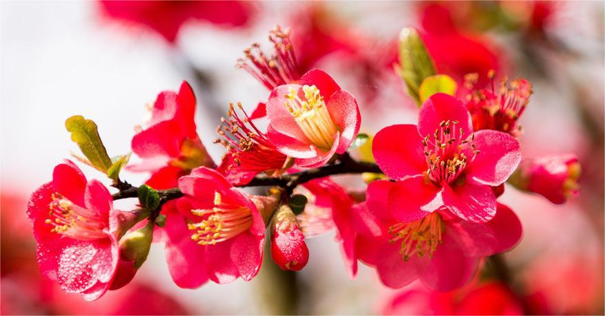 1680596751354859.png 圖片2.png