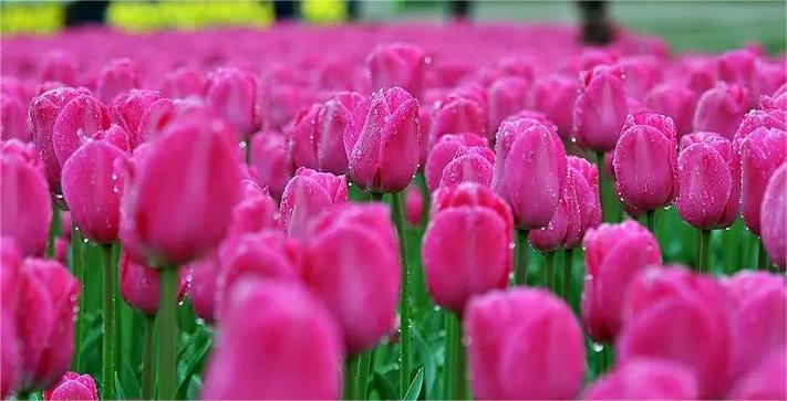 1680596995365540.png 圖片7.png