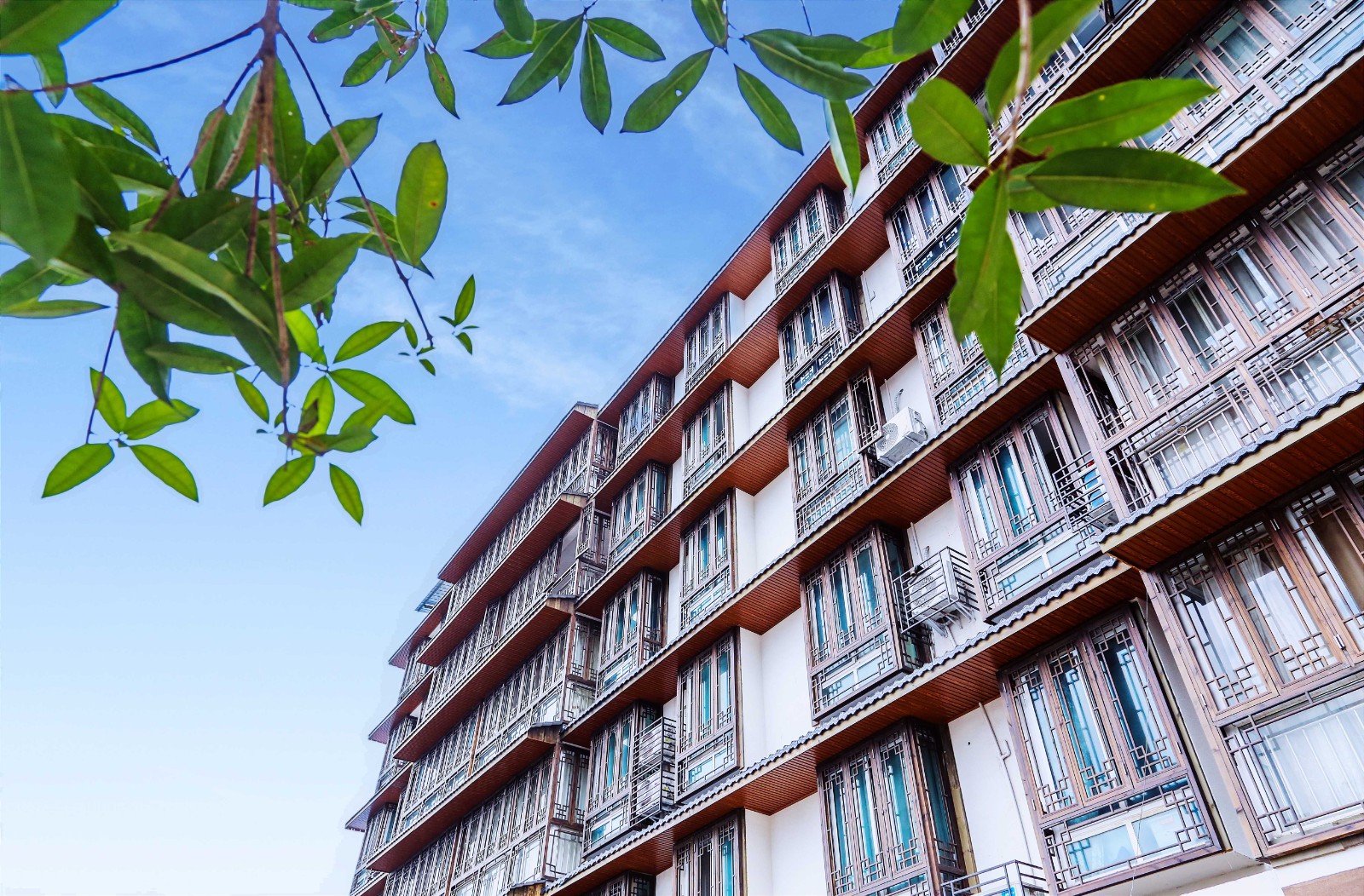 1685933632386332.jpg 1685933632386332.jpg