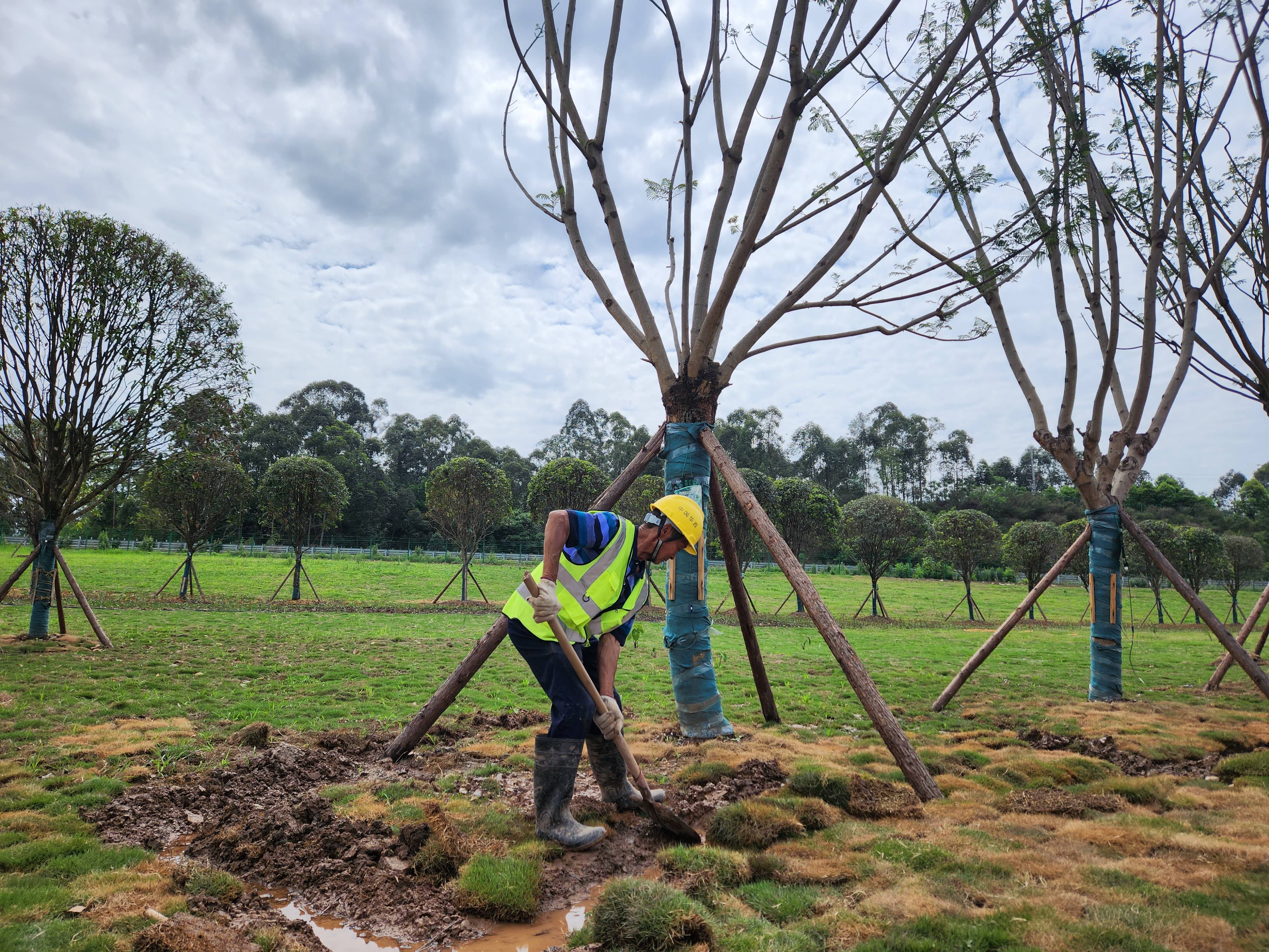 1685935611422076.jpg 1685935611422076.jpg