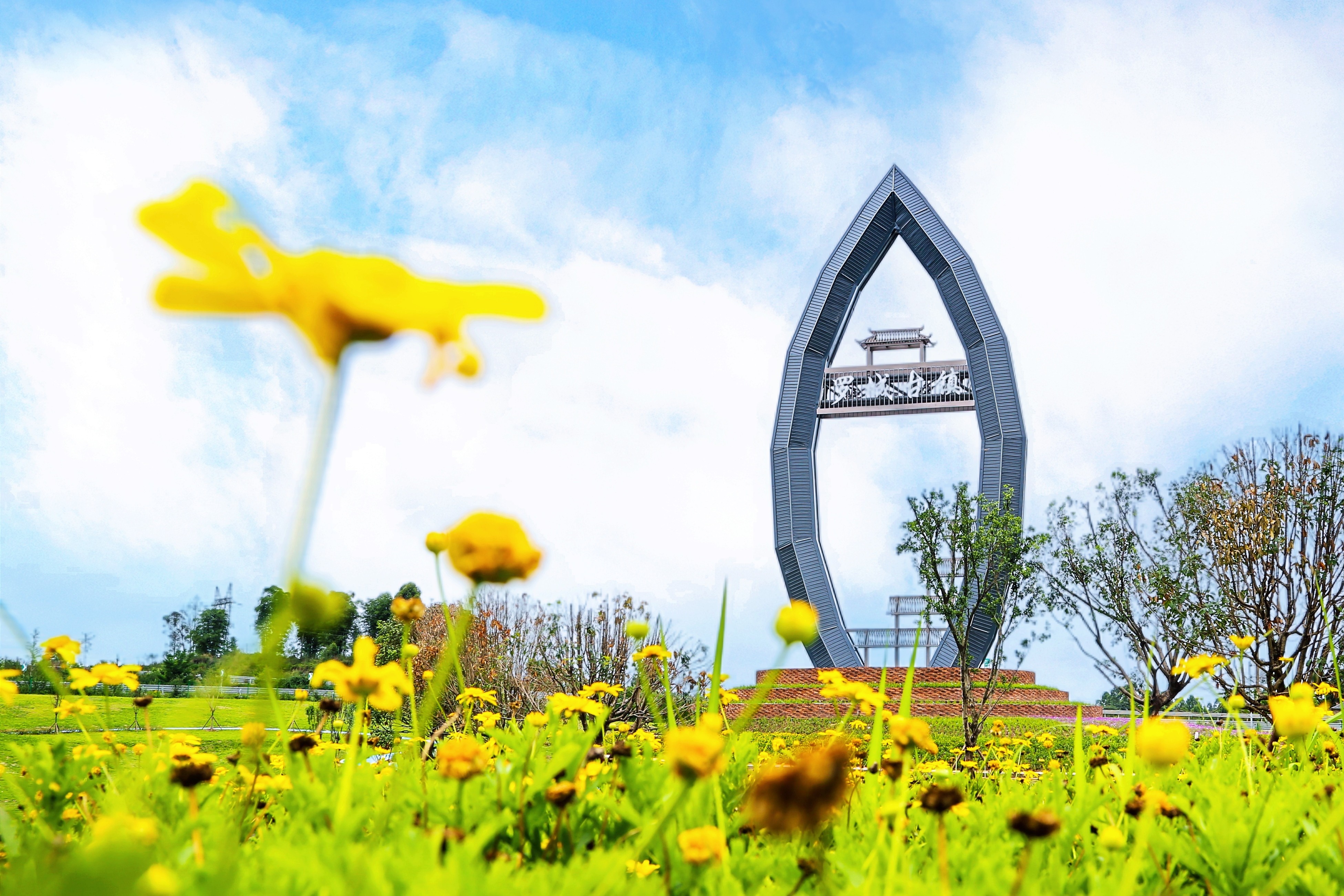 1685936080918467.jpg 1685936080918467.jpg