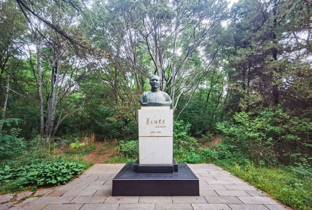 1686016777304323.jpg c39b2c2c4aa9a8bd055a984ac716324.jpg