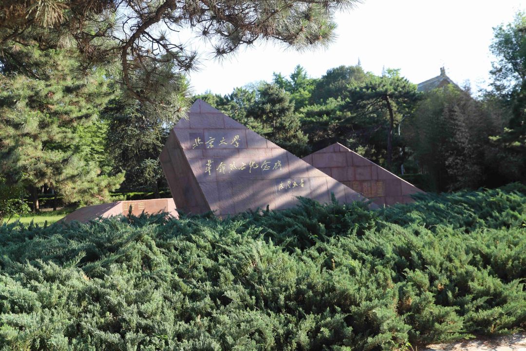 1686016793250540.jpg 328051989c3d42c52f823254bda95040_(1).jpg