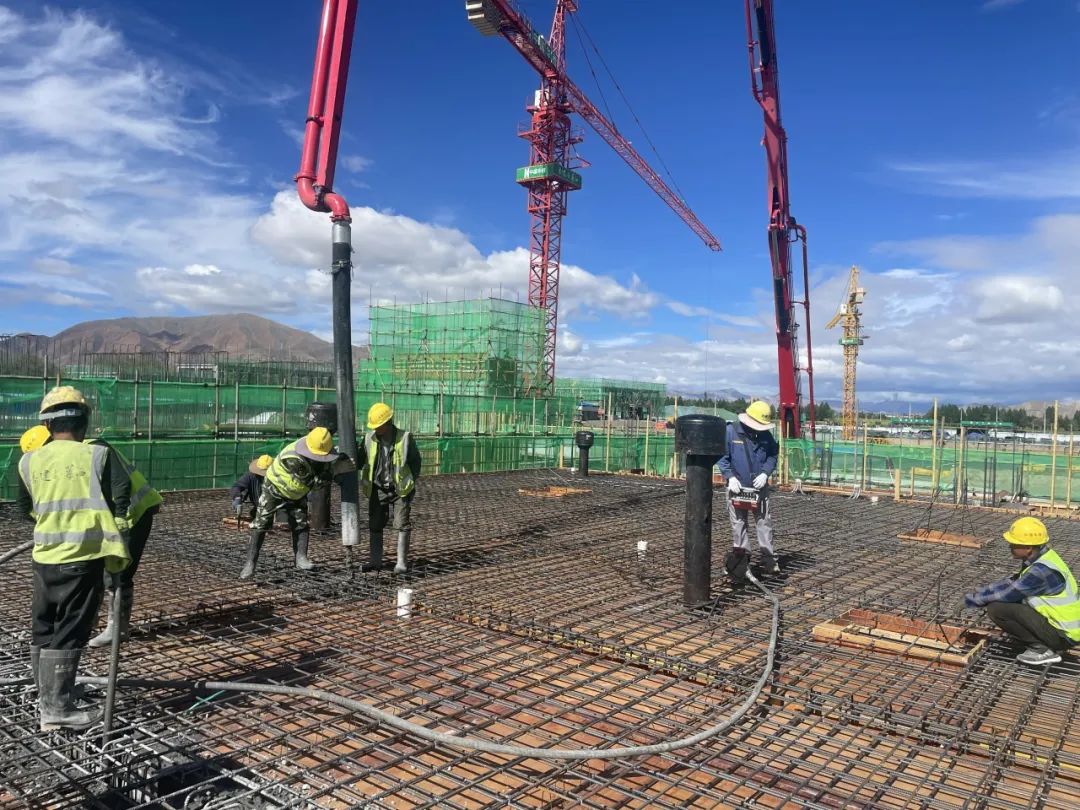 1689151132319609.jpg 640 (14).jpg