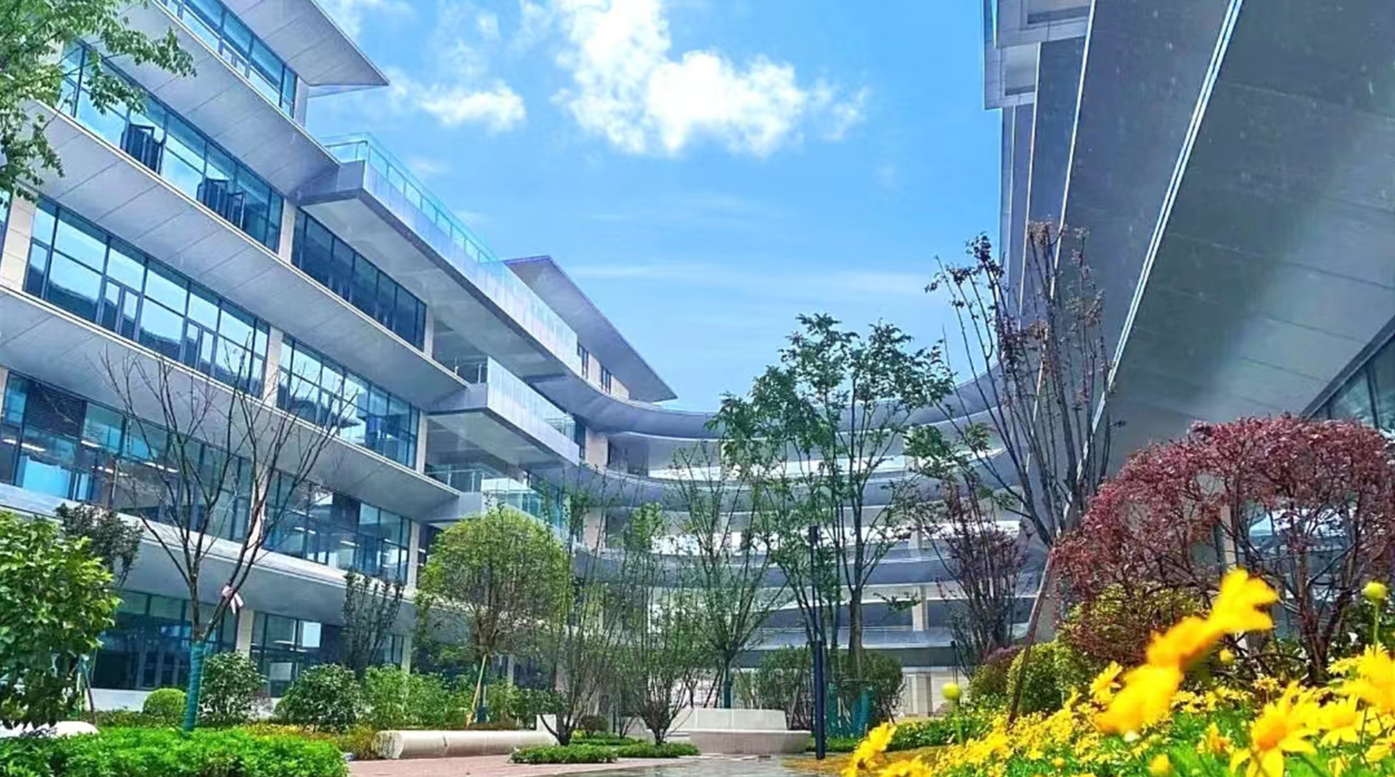 1691050550732196.jpg 1691050550732196.jpg