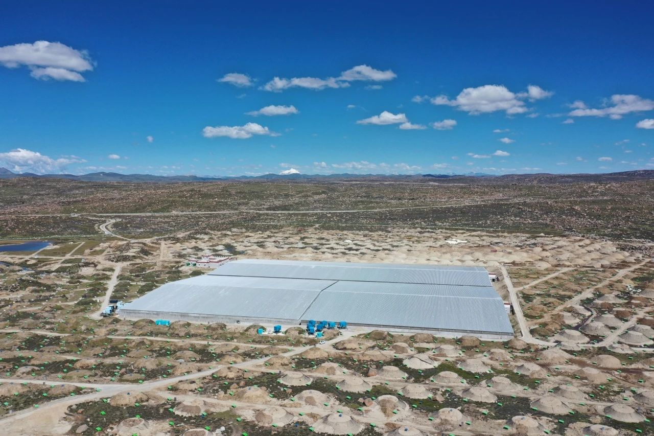 1692082211946955.jpg 1692082211946955.jpg