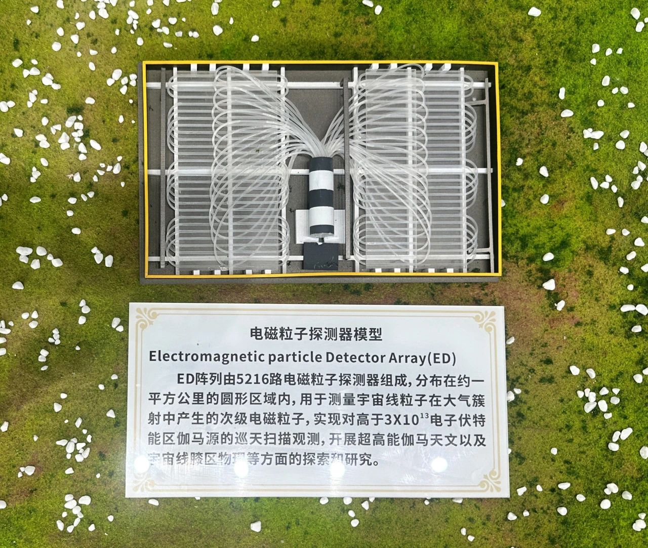 1692082264487135.jpg 1692082264487135.jpg