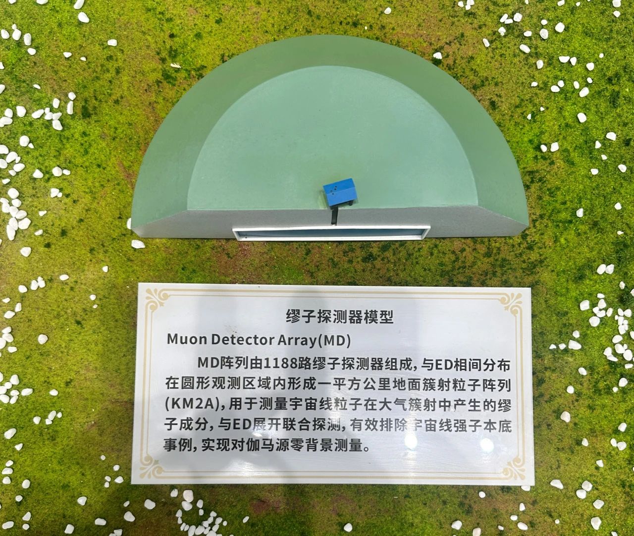 1692082285294957.jpg 1692082285294957.jpg