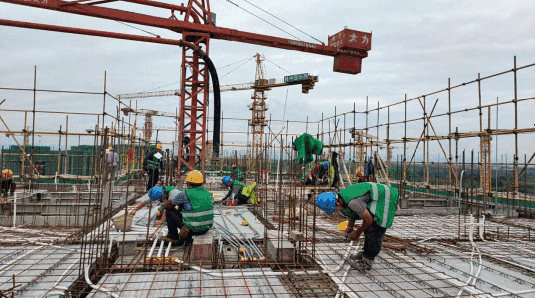 1697165880142688.jpg 1697165880142688.jpg