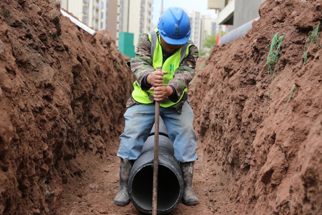 1697165964554942.jpg 1697165964554942.jpg