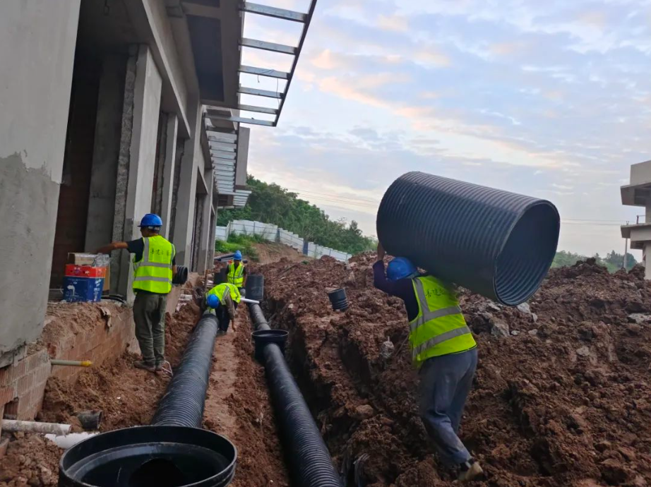 1697166075540303.png 1697166075540303.png