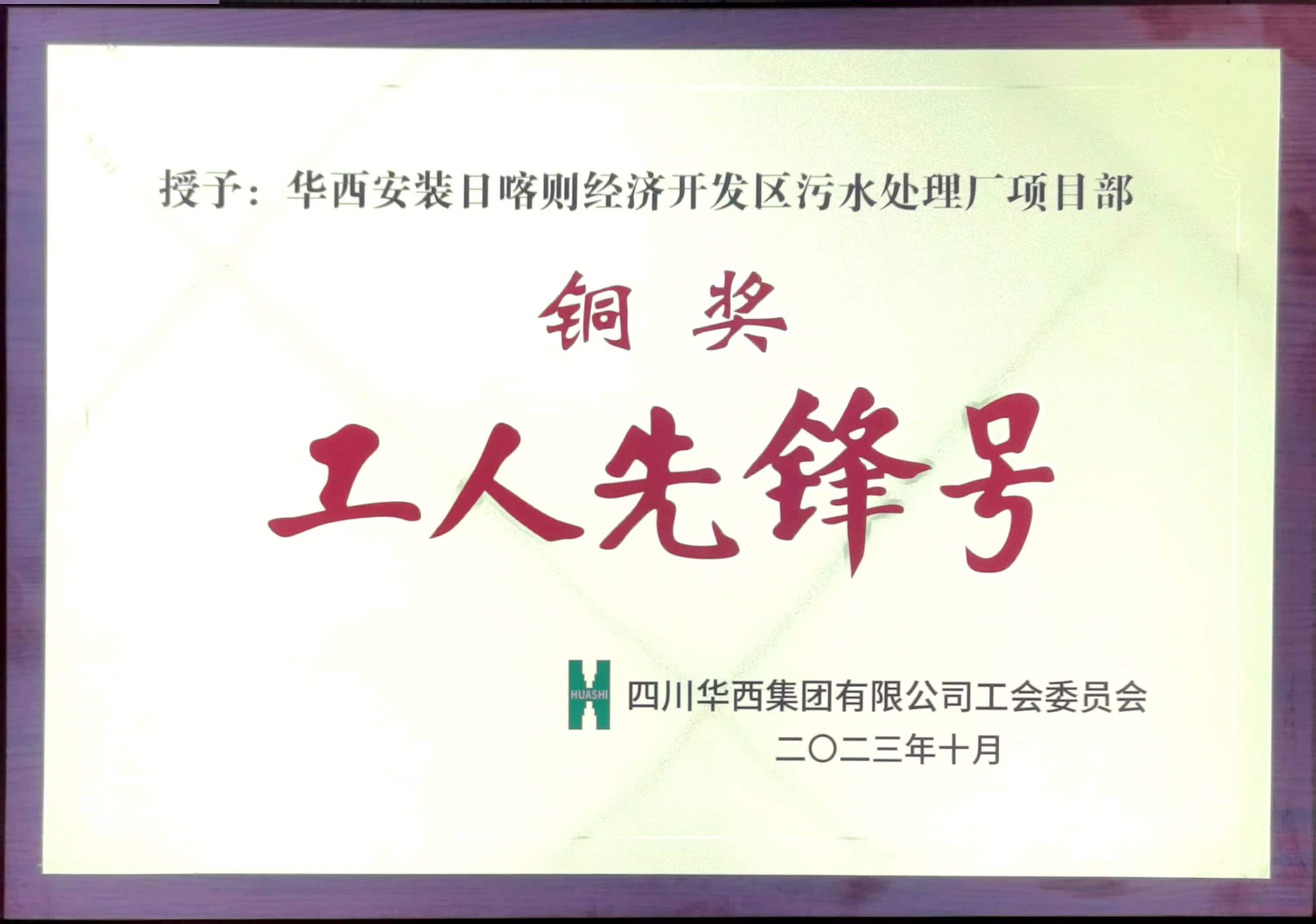 1699842317629295.jpg 1699842317629295.jpg