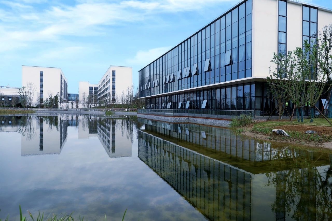 1699844384696875.jpg 1699844384696875.jpg