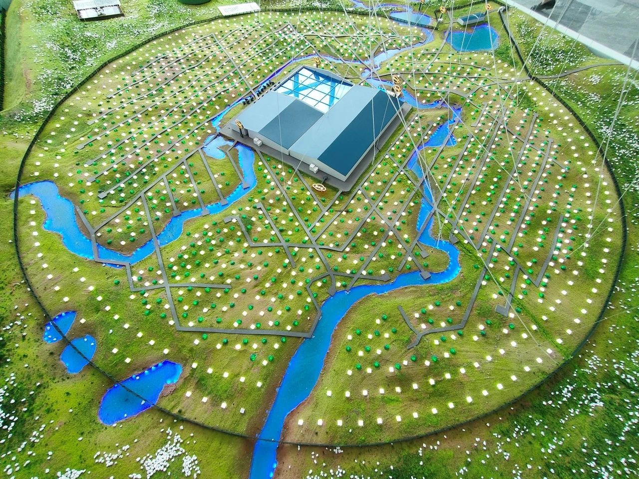 1700013536346295.jpg 1700013536346295.jpg