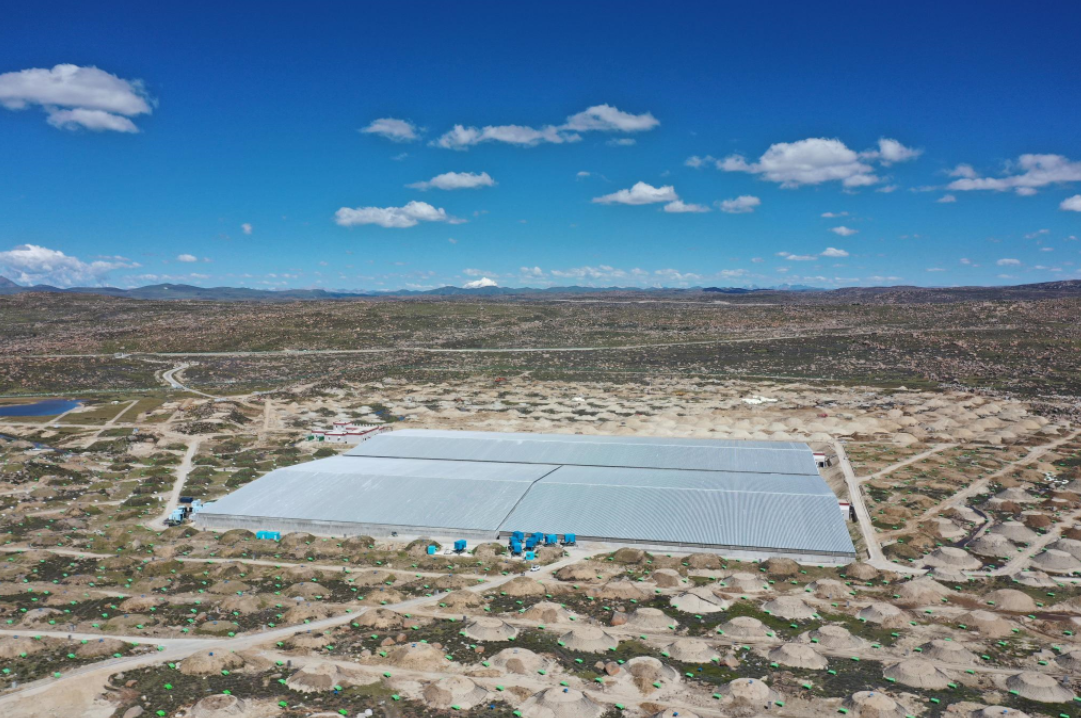 1700013558196129.png 1700013558196129.png