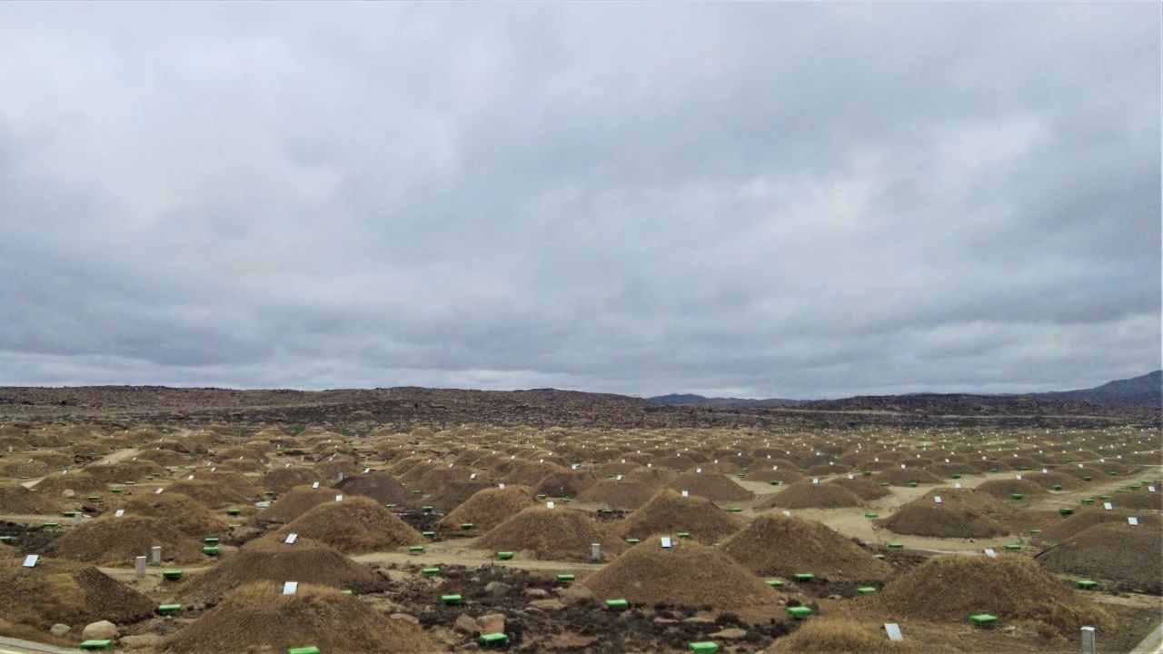 1700013595481832.jpg 1700013595481832.jpg