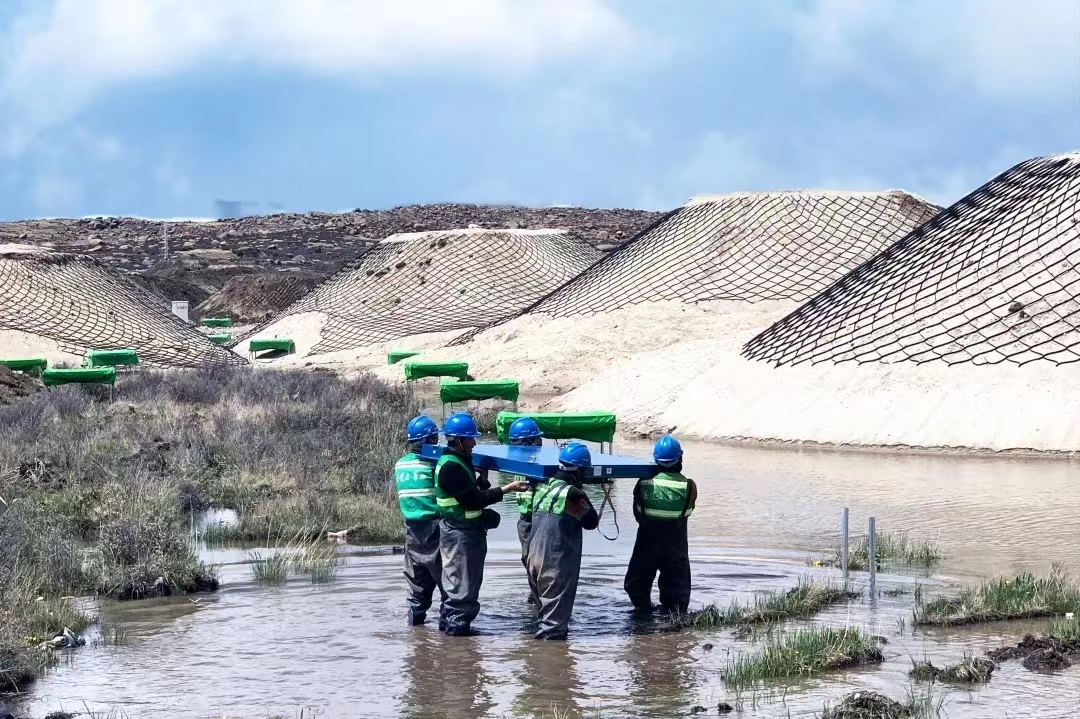 1700013972384050.jpg 1700013972384050.jpg