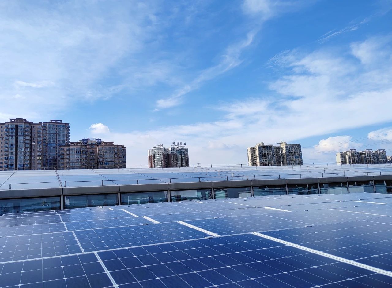 1701048094927031.jpg 1701048094927031.jpg