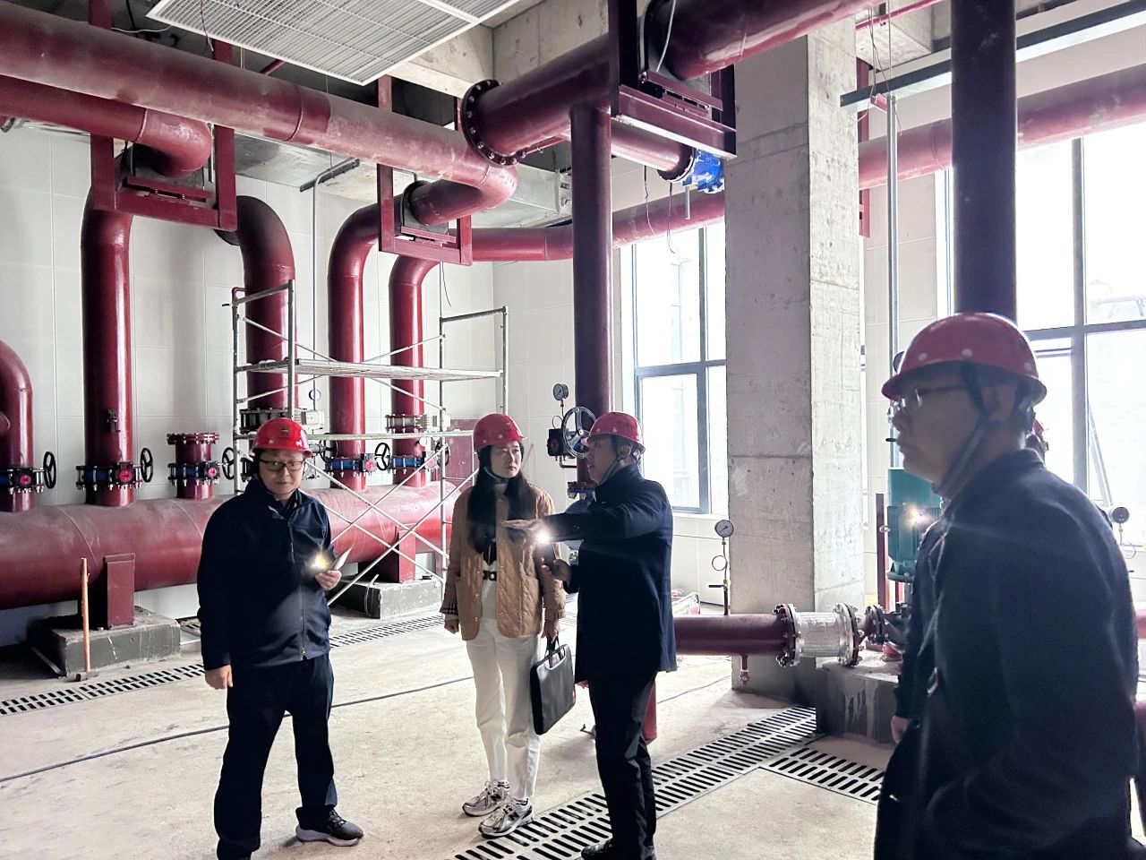 1701999185967359.jpg 1701999185967359.jpg