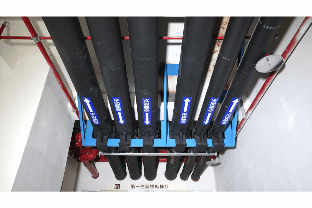 1702257602439556.gif 1702257602439556.gif