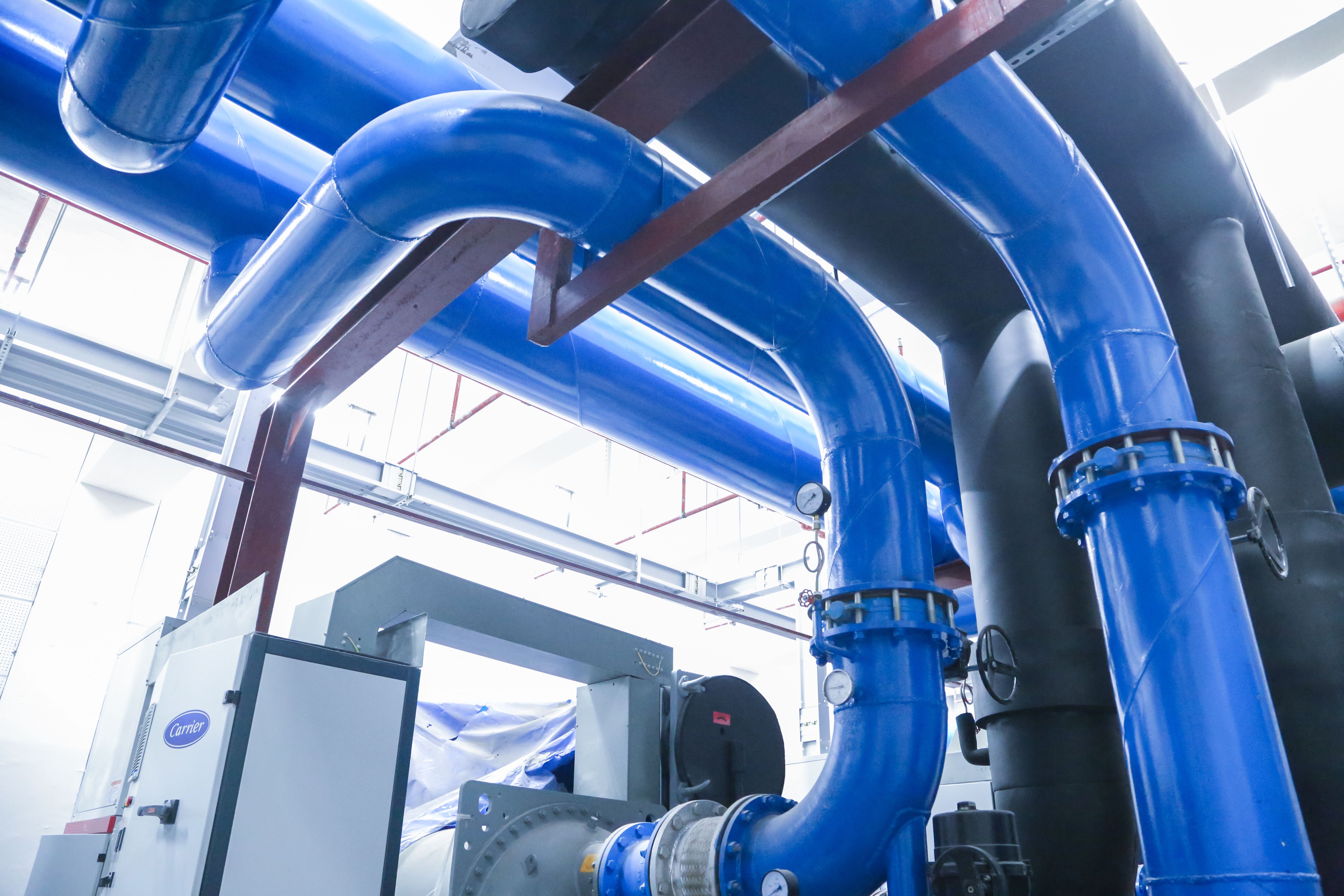 1702609068745319.jpg 1702609068745319.jpg