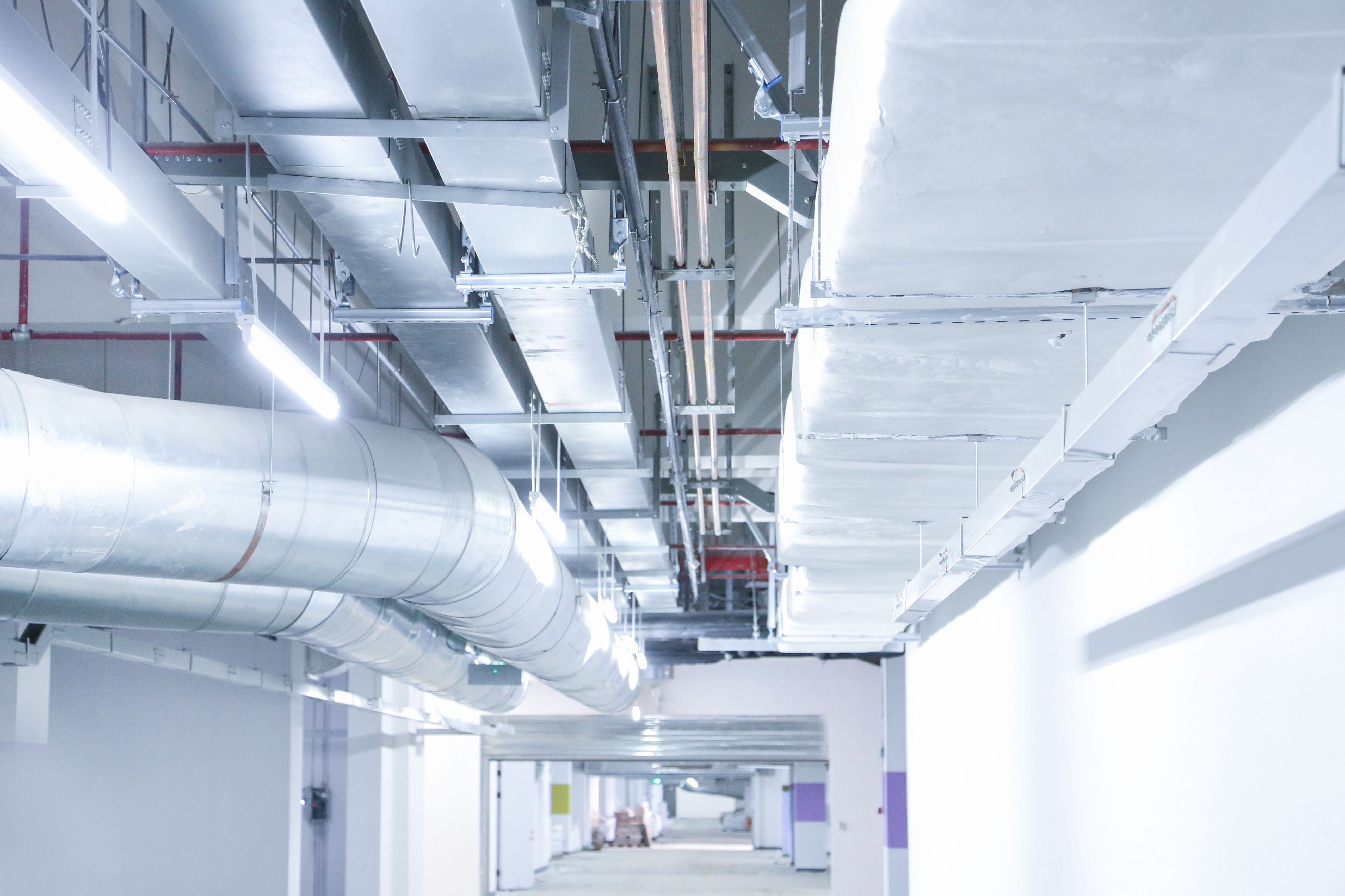 1702609087331568.jpg 1702609087331568.jpg