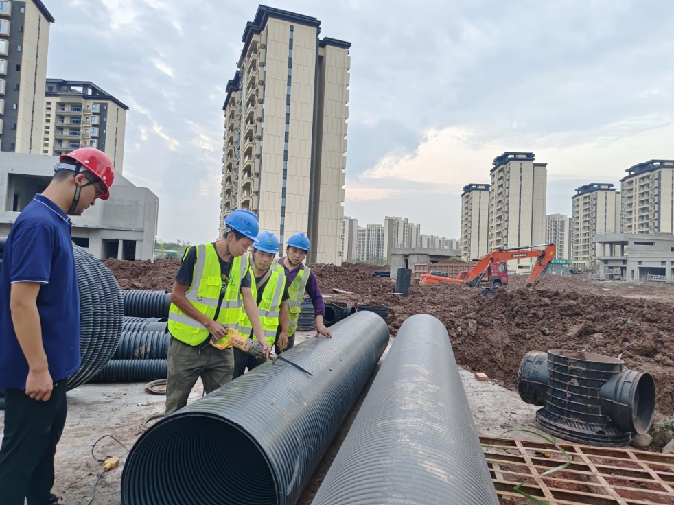 1703124042805919.png 1703124042805919.png