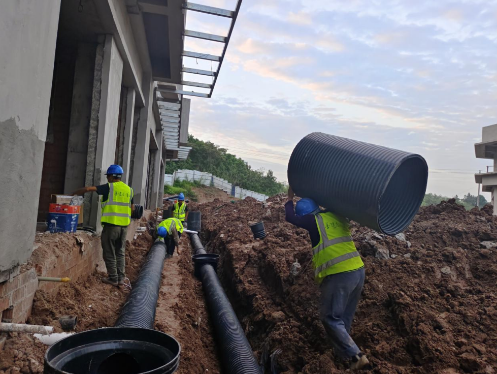 1703124362124343.png 1703124362124343.png