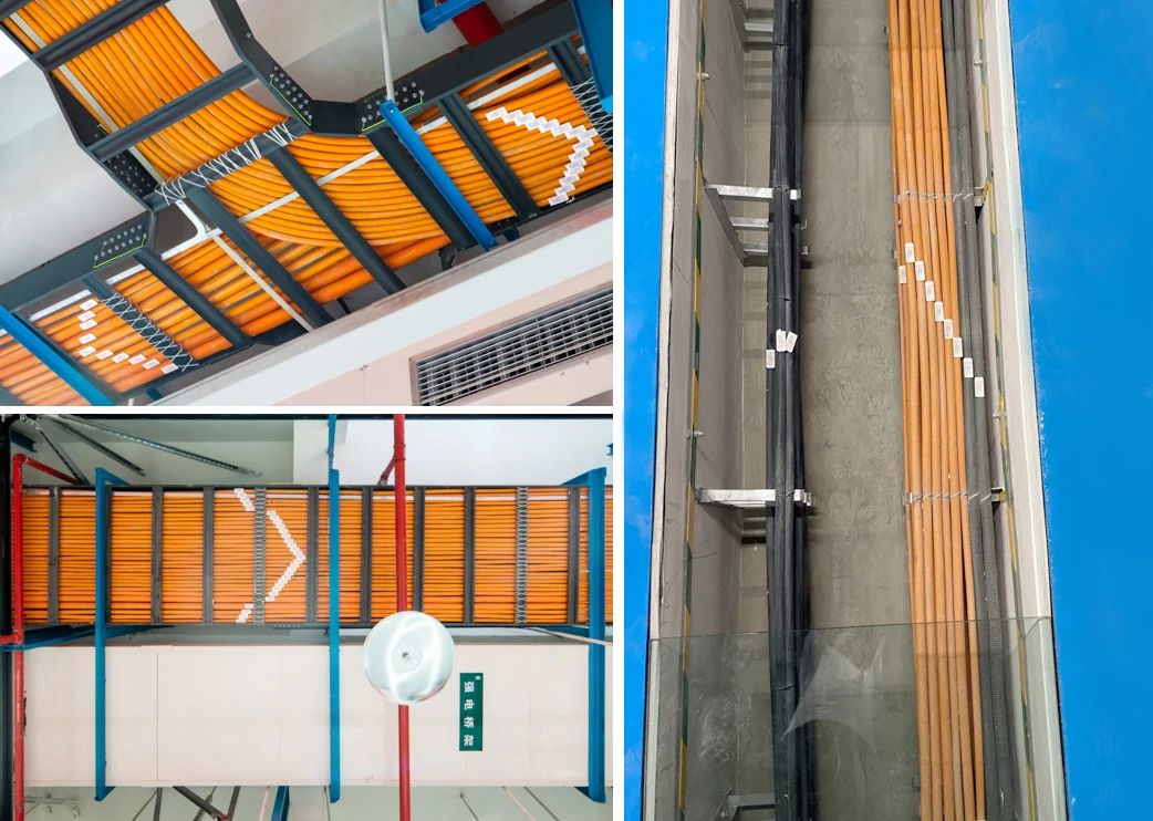 1703561893908853.jpg 1703561893908853.jpg