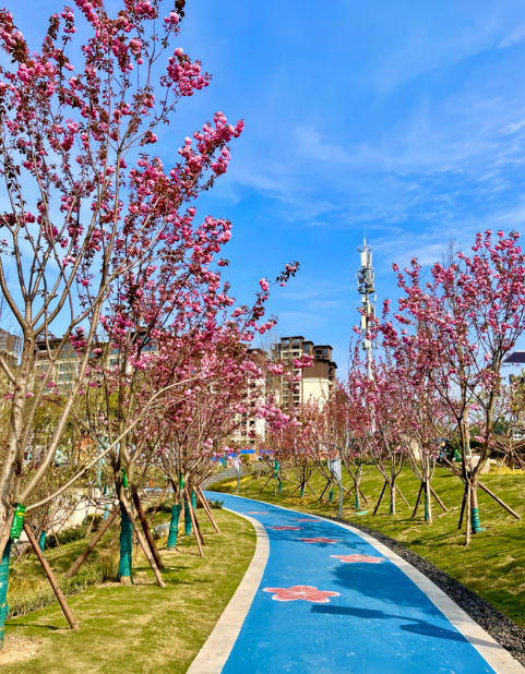 1706753213117836.png 1706753213117836.png