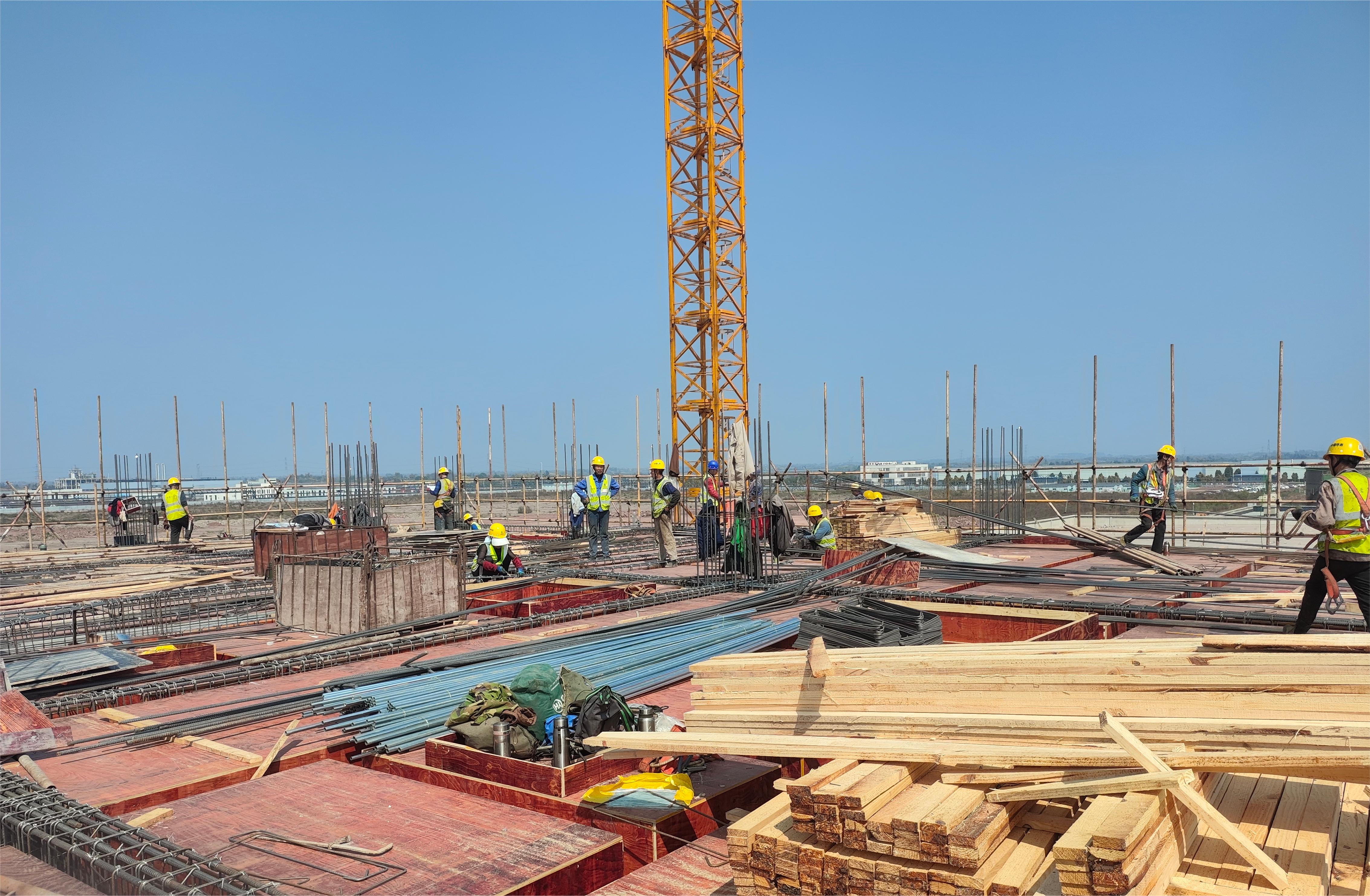 1710816392597411.jpg 1710816392597411.jpg