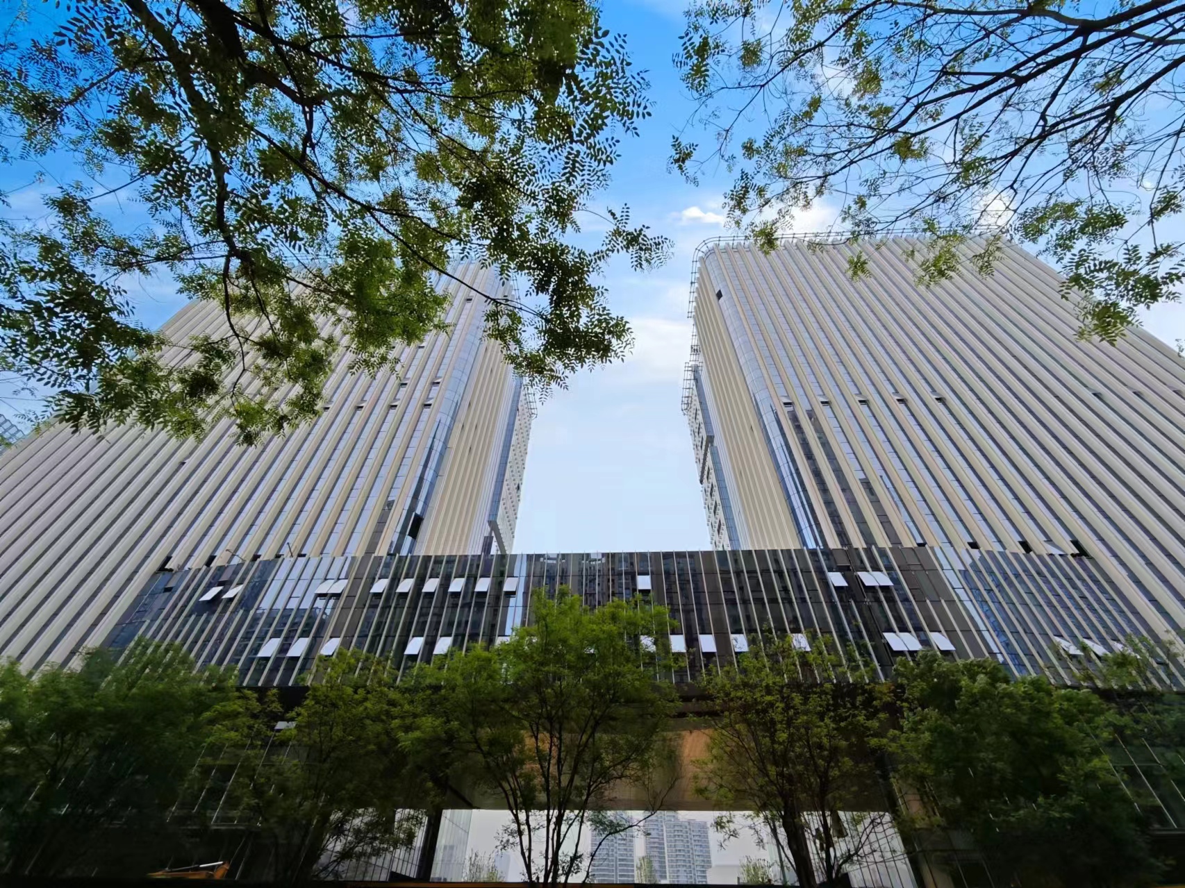 1713509109733919.jpg 1713509109733919.jpg