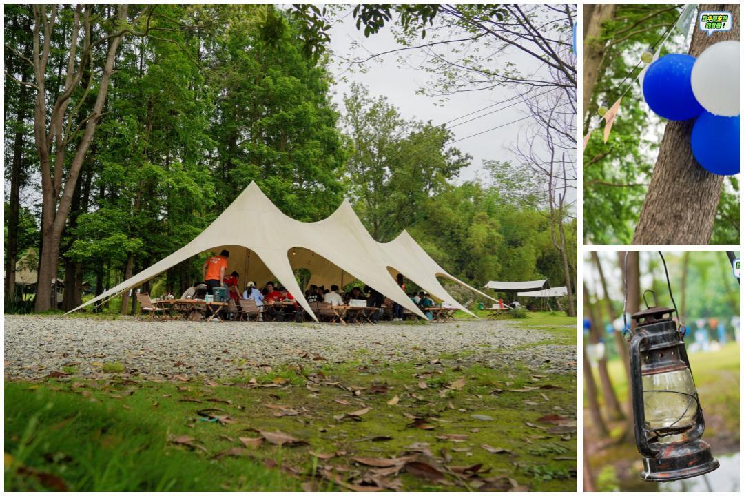 1715676349973960.jpg 1715676349973960.jpg