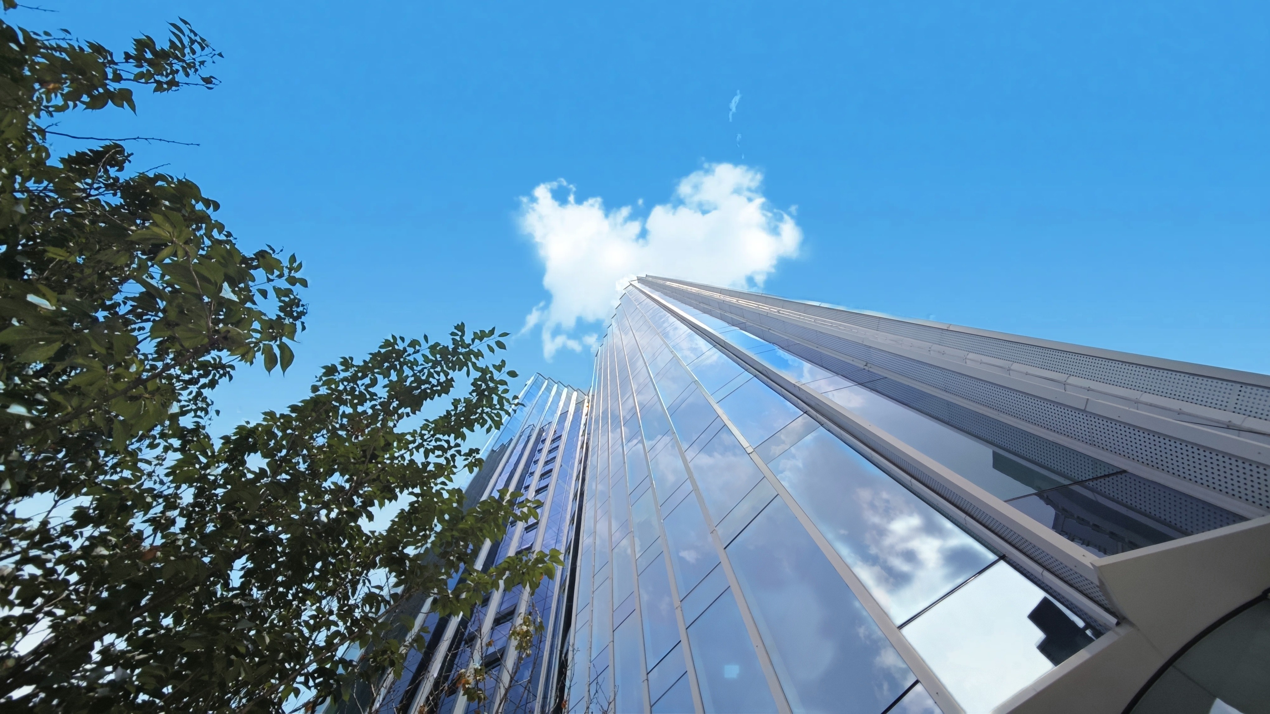 1723426794596463.jpg 1723426794596463.jpg