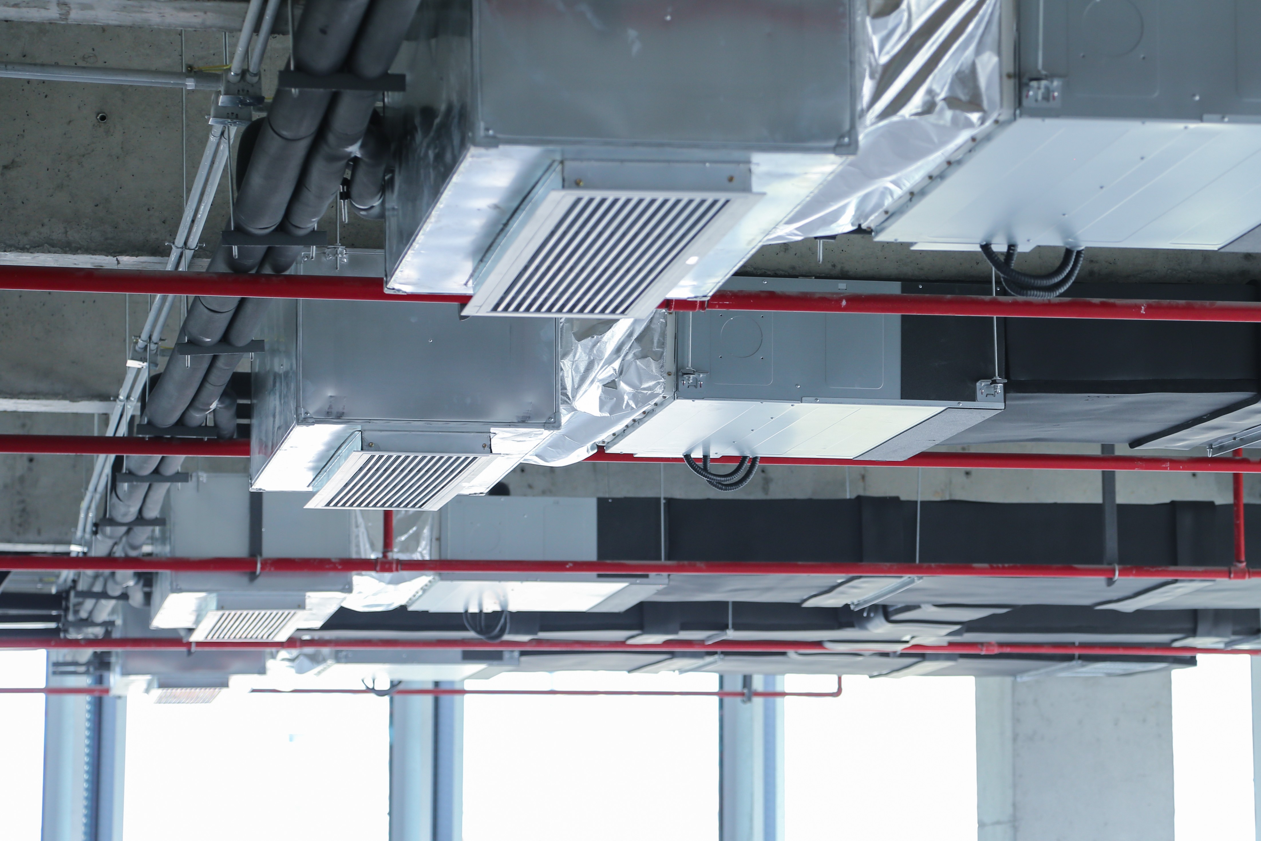 1723427054452873.jpg 1723427054452873.jpg