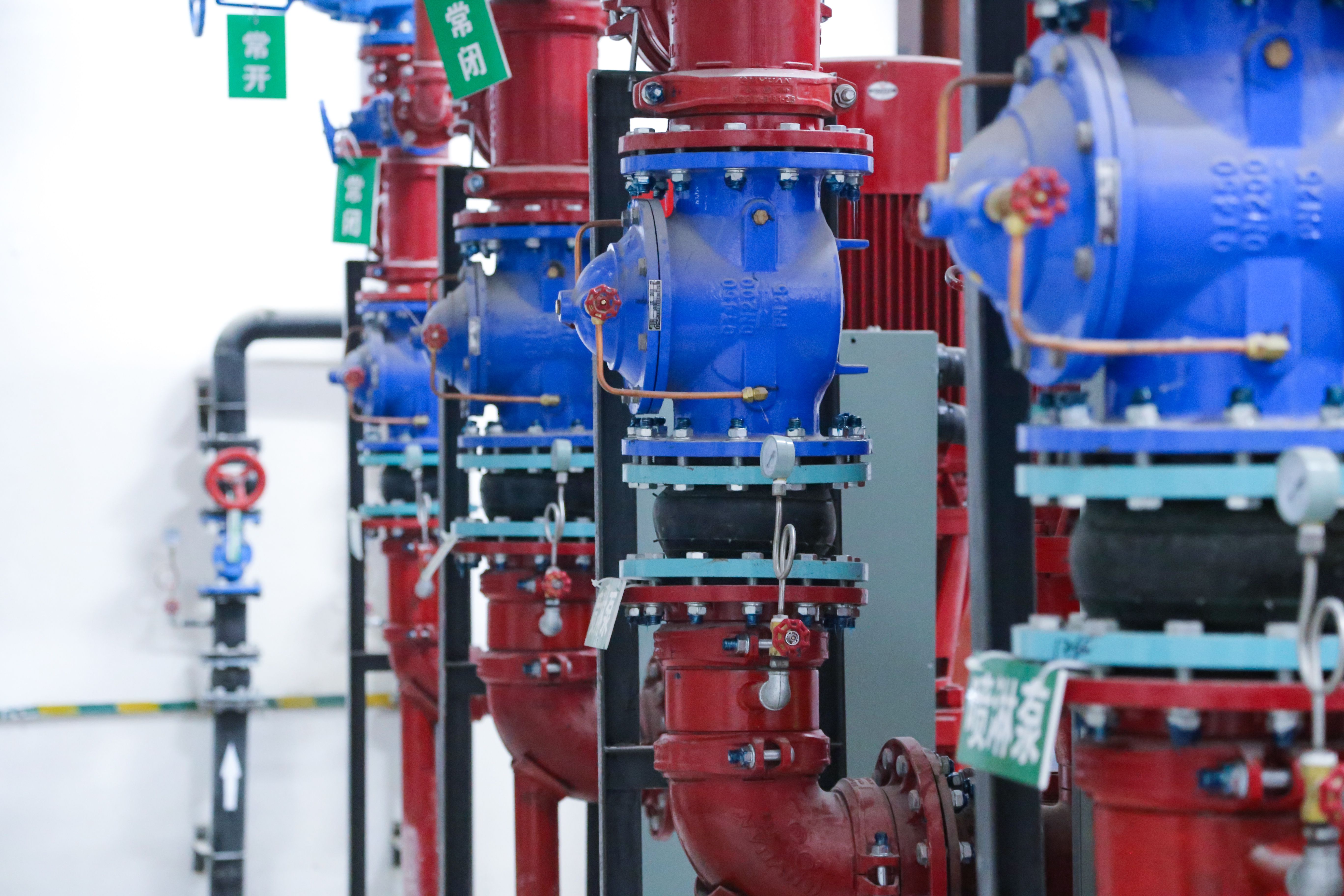 1723427368493617.jpg 1723427368493617.jpg