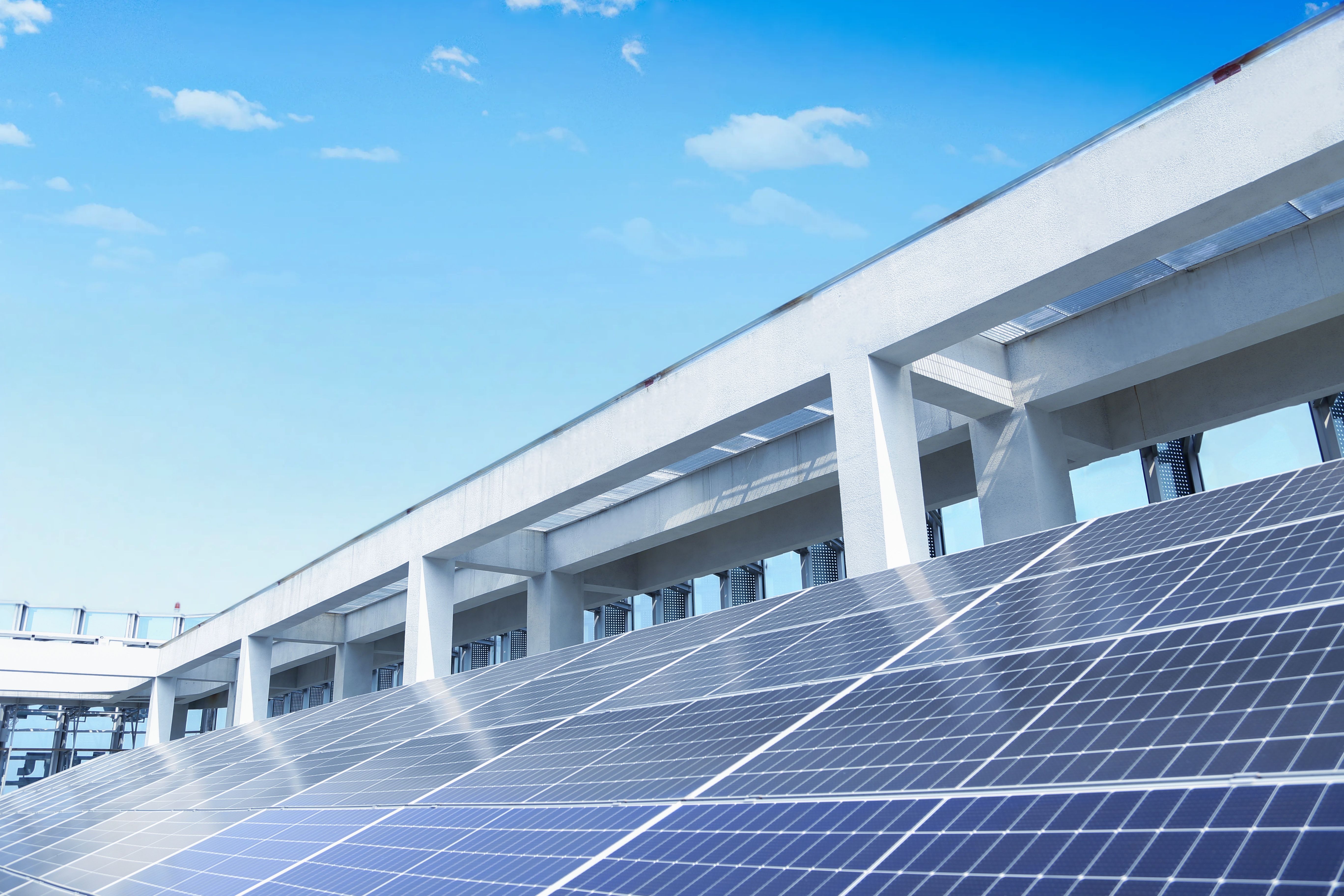 1723427641391212.jpg 1723427641391212.jpg