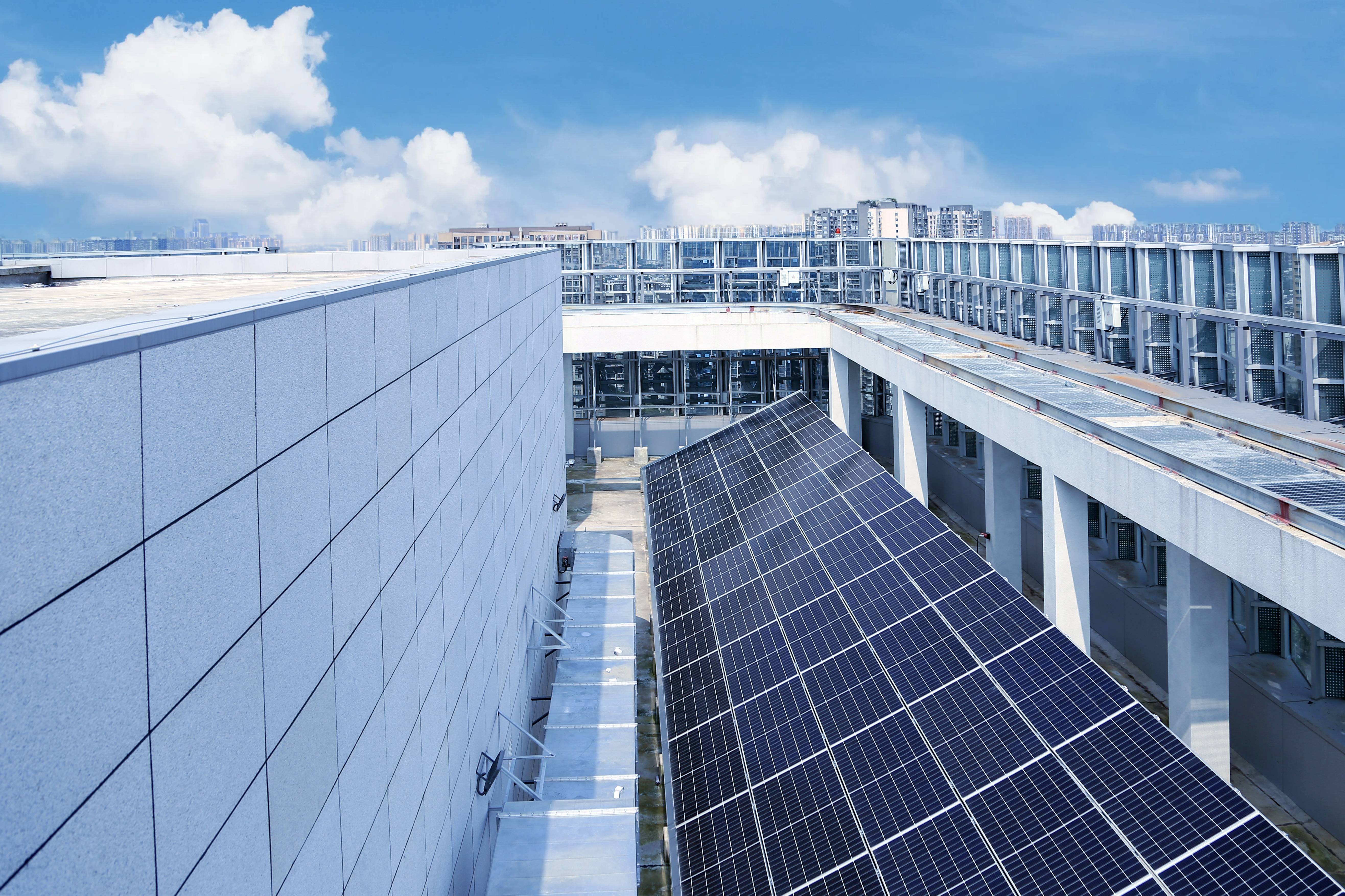 1723427753669869.jpg 1723427753669869.jpg